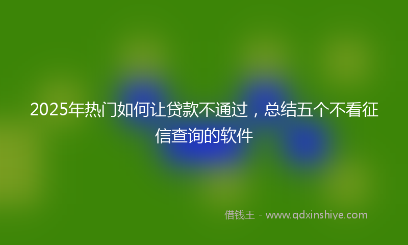 2025年热门如何让贷款不通过，总结五个不看征信查询的软件