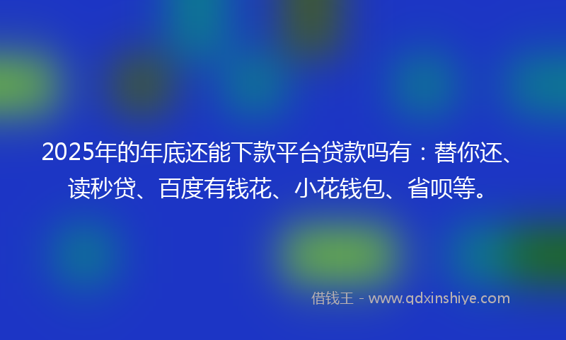 2025年的年底还能下款平台贷款吗有：替你还、读秒贷、百度有钱花、小花钱包、省呗等。
