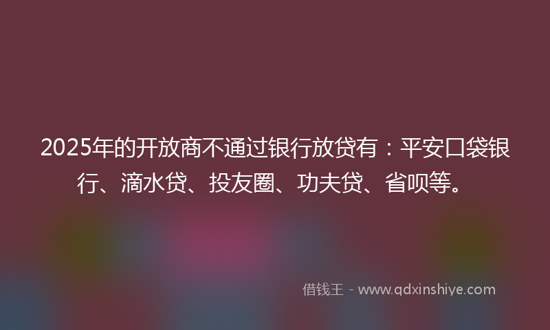2025年的开放商不通过银行放贷有：平安口袋银行、滴水贷、投友圈、功夫贷、省呗等。
