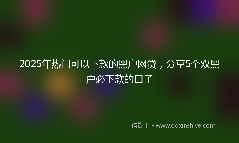 2025年热门可以下款的黑户网贷，分享5个双黑户必下款的口子