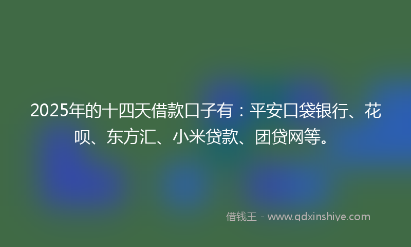 2025年的十四天借款口子有：平安口袋银行、花呗、东方汇、小米贷款、团贷网等。