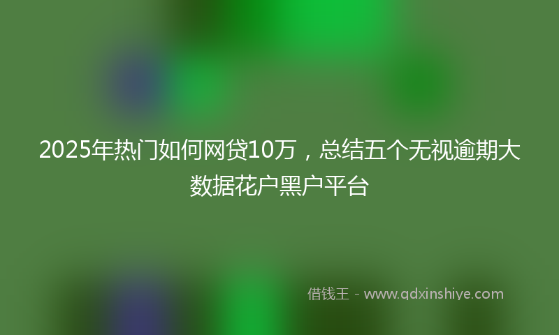 2025年热门如何网贷10万，总结五个无视逾期大数据花户黑户平台