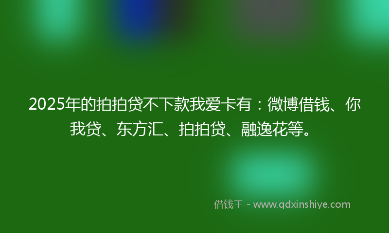2025年的拍拍贷不下款我爱卡有：微博借钱、你我贷、东方汇、拍拍贷、融逸花等。