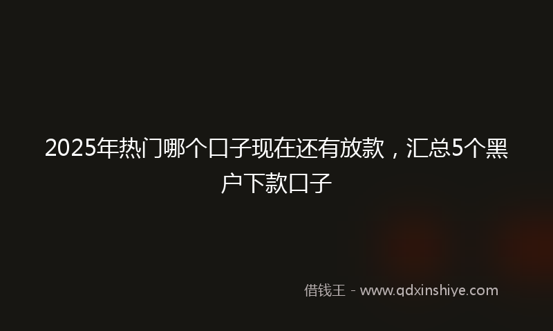 2025年热门哪个口子现在还有放款，汇总5个黑户下款口子
