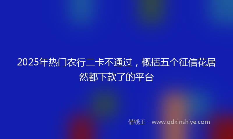 2025年热门农行二卡不通过，概括五个征信花居然都下款了的平台