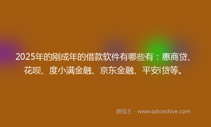 2025年的刚成年的借款软件有哪些有：惠商贷、花呗、度小满金融、京东金融、平安i贷等。