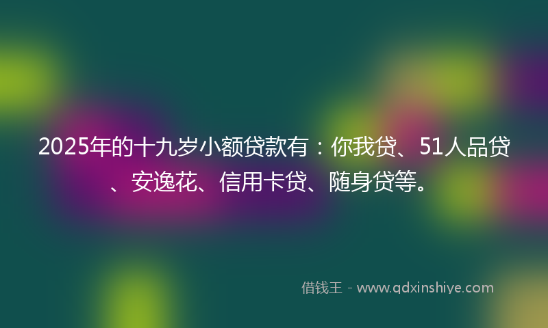 2025年的十九岁小额贷款有：你我贷、51人品贷、安逸花、信用卡贷、随身贷等。