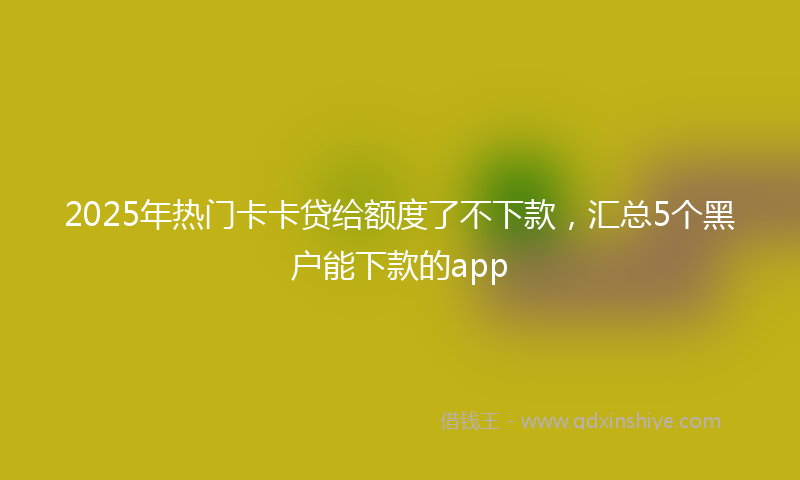 2025年热门卡卡贷给额度了不下款，汇总5个黑户能下款的app