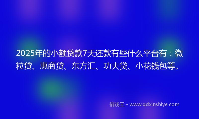 2025年的小额贷款7天还款有些什么平台有：微粒贷、惠商贷、东方汇、功夫贷、小花钱包等。
