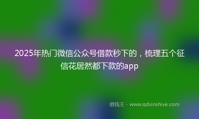 2025年热门微信公众号借款秒下的，梳理五个征信花居然都下款的app