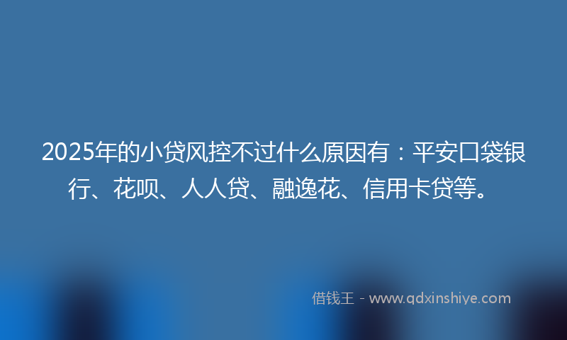 2025年的小贷风控不过什么原因有：平安口袋银行、花呗、人人贷、融逸花、信用卡贷等。