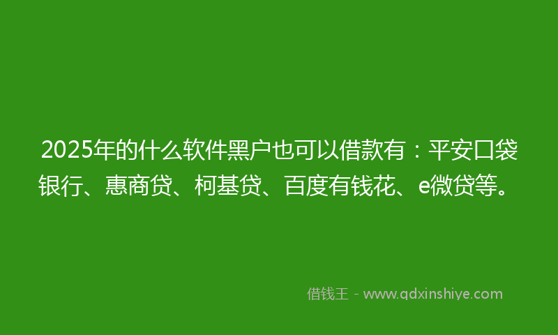 2025年的什么软件黑户也可以借款有：平安口袋银行、惠商贷、柯基贷、百度有钱花、e微贷等。