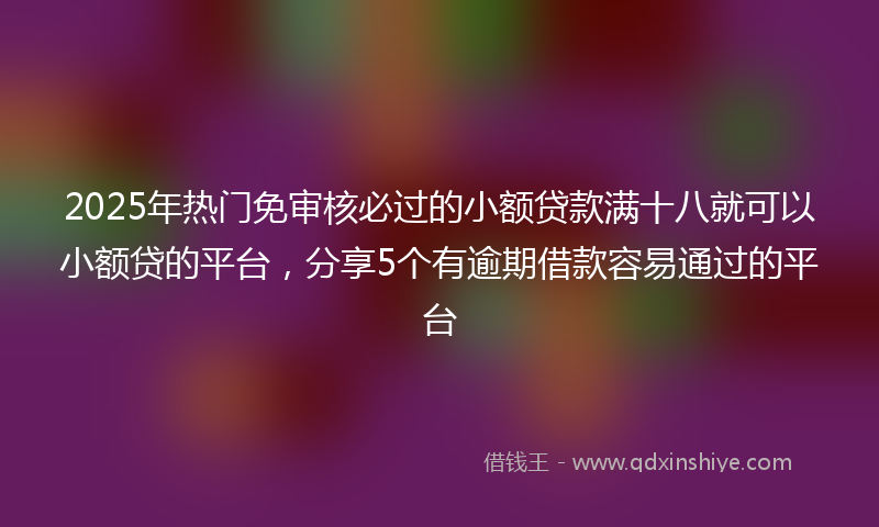 2025年热门免审核必过的小额贷款满十八就可以小额贷的平台，分享5个有逾期借款容易通过的平台