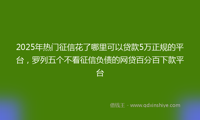 2025年热门征信花了哪里可以贷款5万正规的平台，罗列五个不看征信负债的网贷百分百下款平台