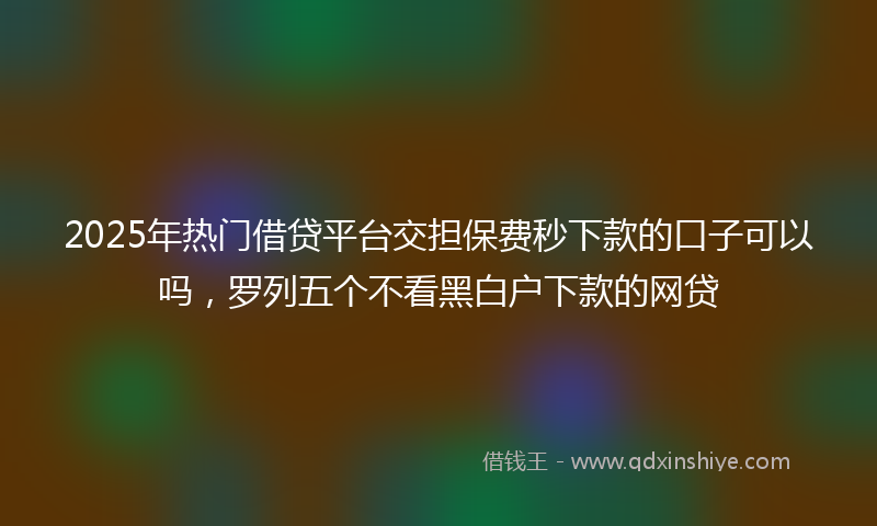 2025年热门借贷平台交担保费秒下款的口子可以吗，罗列五个不看黑白户下款的网贷