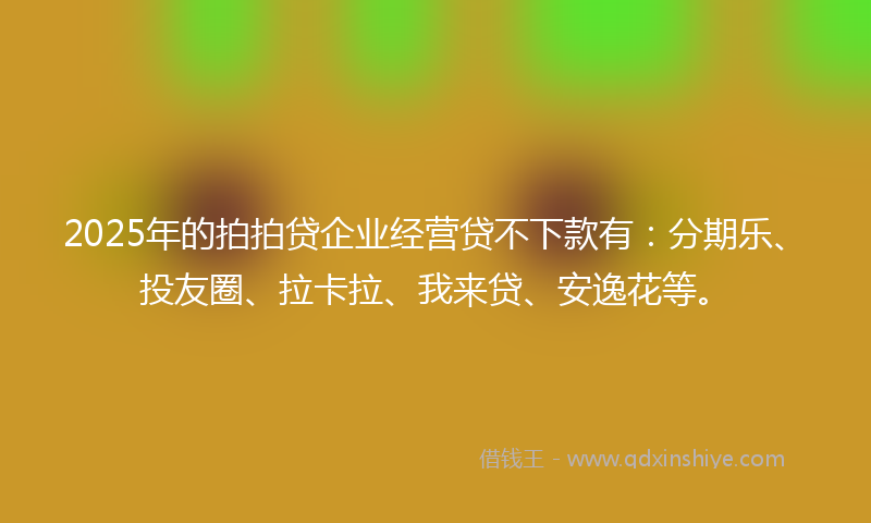 2025年的拍拍贷企业经营贷不下款有：分期乐、投友圈、拉卡拉、我来贷、安逸花等。