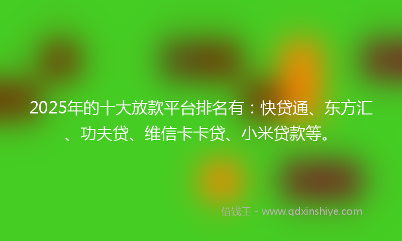 2025年的十大放款平台排名有：快贷通、东方汇、功夫贷、维信卡卡贷、小米贷款等。