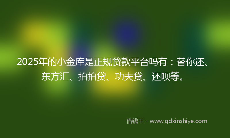 2025年的小金库是正规贷款平台吗有：替你还、东方汇、拍拍贷、功夫贷、还呗等。
