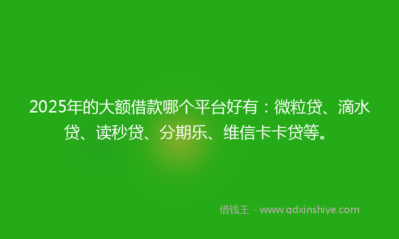 2025年的大额借款哪个平台好有：微粒贷、滴水贷、读秒贷、分期乐、维信卡卡贷等。