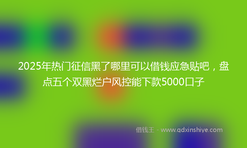2025年热门征信黑了哪里可以借钱应急贴吧，盘点五个双黑烂户风控能下款5000口子