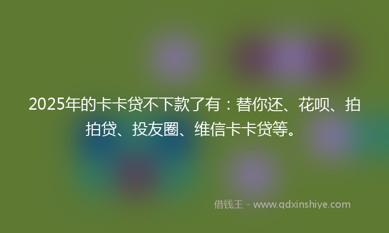 2025年的卡卡贷不下款了有：替你还、花呗、拍拍贷、投友圈、维信卡卡贷等。