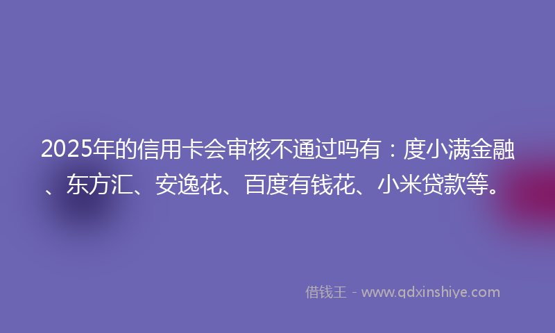 2025年的信用卡会审核不通过吗有：度小满金融、东方汇、安逸花、百度有钱花、小米贷款等。