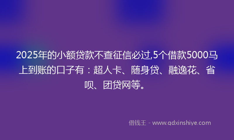 2025年的小额贷款不查征信必过,5个借款5000马上到账的口子有：超人卡、随身贷、融逸花、省呗、团贷网等。