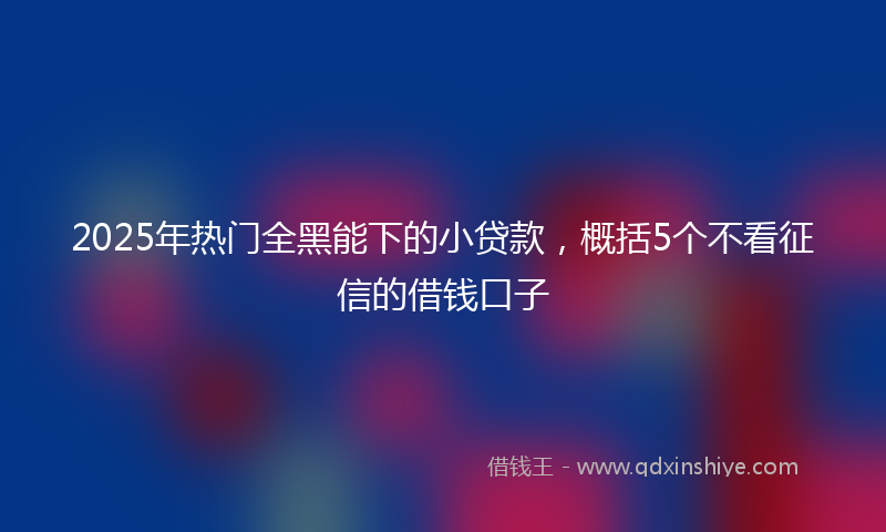 2025年热门全黑能下的小贷款，概括5个不看征信的借钱口子