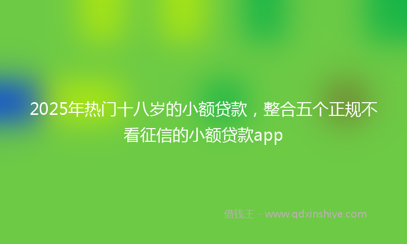 2025年热门十八岁的小额贷款，整合五个正规不看征信的小额贷款app