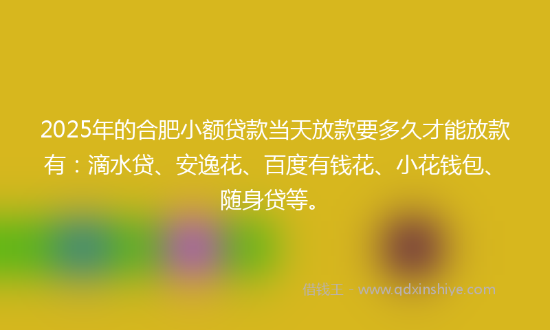 2025年的合肥小额贷款当天放款要多久才能放款有：滴水贷、安逸花、百度有钱花、小花钱包、随身贷等。