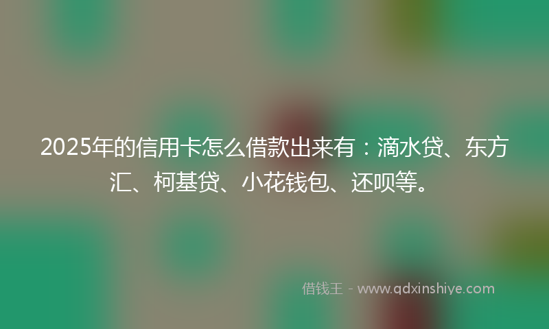 2025年的信用卡怎么借款出来有：滴水贷、东方汇、柯基贷、小花钱包、还呗等。