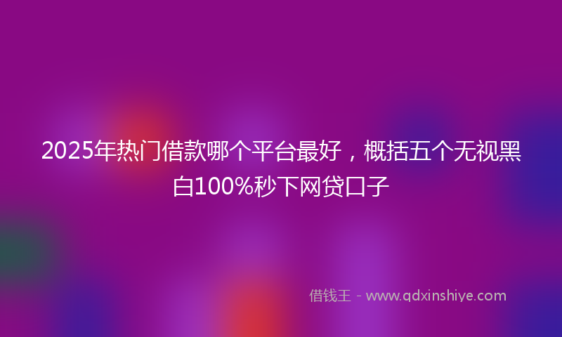 2025年热门借款哪个平台最好，概括五个无视黑白100%秒下网贷口子