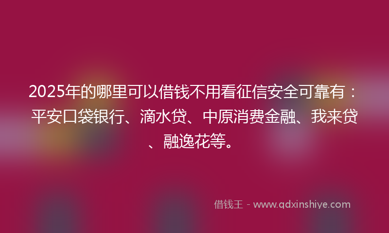 2025年的哪里可以借钱不用看征信安全可靠有：平安口袋银行、滴水贷、中原消费金融、我来贷、融逸花等。