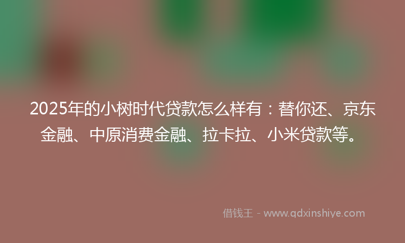 2025年的小树时代贷款怎么样有：替你还、京东金融、中原消费金融、拉卡拉、小米贷款等。