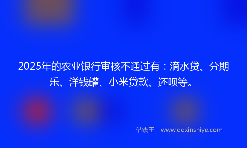 2025年的农业银行审核不通过有：滴水贷、分期乐、洋钱罐、小米贷款、还呗等。