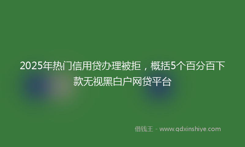 2025年热门信用贷办理被拒，概括5个百分百下款无视黑白户网贷平台