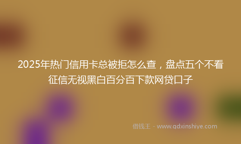 2025年热门信用卡总被拒怎么查，盘点五个不看征信无视黑白百分百下款网贷口子