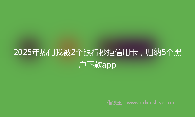 2025年热门我被2个银行秒拒信用卡，归纳5个黑户下款app