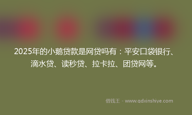 2025年的小鹅贷款是网贷吗有：平安口袋银行、滴水贷、读秒贷、拉卡拉、团贷网等。