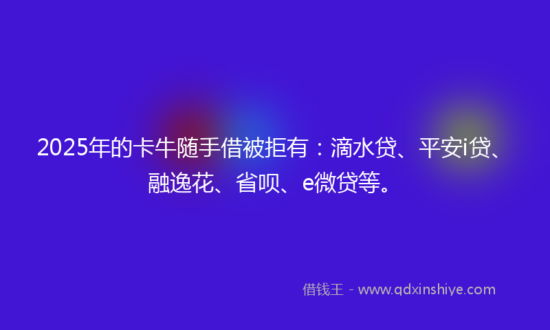 2025年的卡牛随手借被拒有：滴水贷、平安i贷、融逸花、省呗、e微贷等。