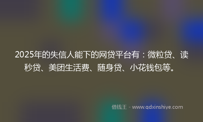 2025年的失信人能下的网贷平台有：微粒贷、读秒贷、美团生活费、随身贷、小花钱包等。