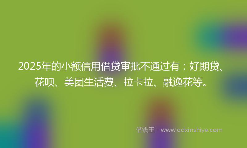 2025年的小额信用借贷审批不通过有：好期贷、花呗、美团生活费、拉卡拉、融逸花等。