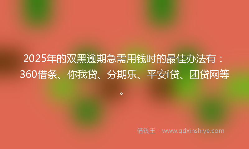 2025年的双黑逾期急需用钱时的最佳办法有：360借条、你我贷、分期乐、平安i贷、团贷网等。
