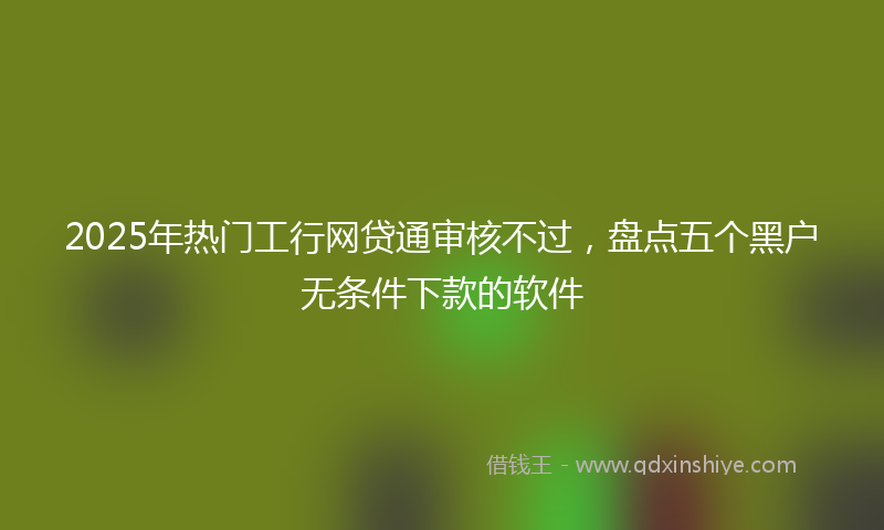 2025年热门工行网贷通审核不过，盘点五个黑户无条件下款的软件