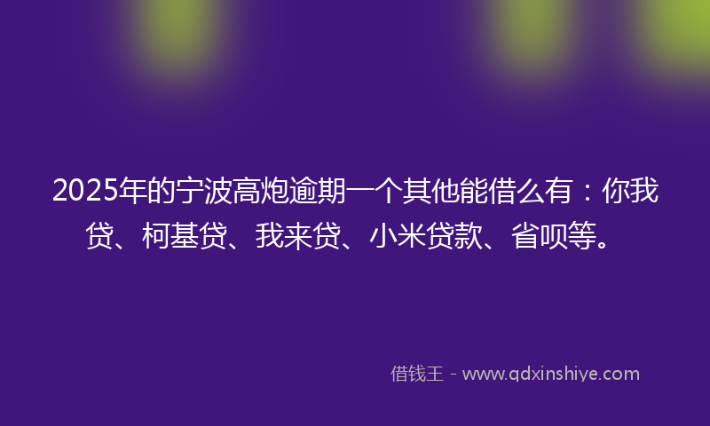 2025年的宁波高炮逾期一个其他能借么有：你我贷、柯基贷、我来贷、小米贷款、省呗等。