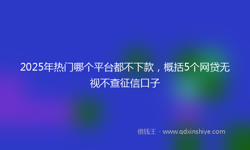 2025年热门哪个平台都不下款，概括5个网贷无视不查征信口子