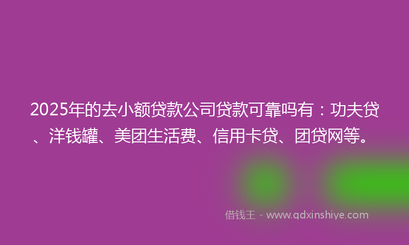 2025年的去小额贷款公司贷款可靠吗有：功夫贷、洋钱罐、美团生活费、信用卡贷、团贷网等。