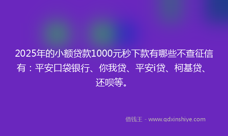 2025年的小额贷款1000元秒下款有哪些不查征信有：平安口袋银行、你我贷、平安i贷、柯基贷、还呗等。
