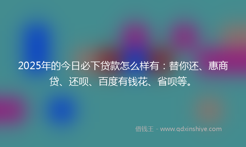 2025年的今日必下贷款怎么样有：替你还、惠商贷、还呗、百度有钱花、省呗等。