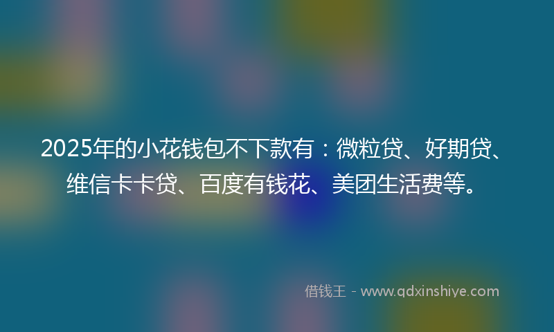 2025年的小花钱包不下款有：微粒贷、好期贷、维信卡卡贷、百度有钱花、美团生活费等。